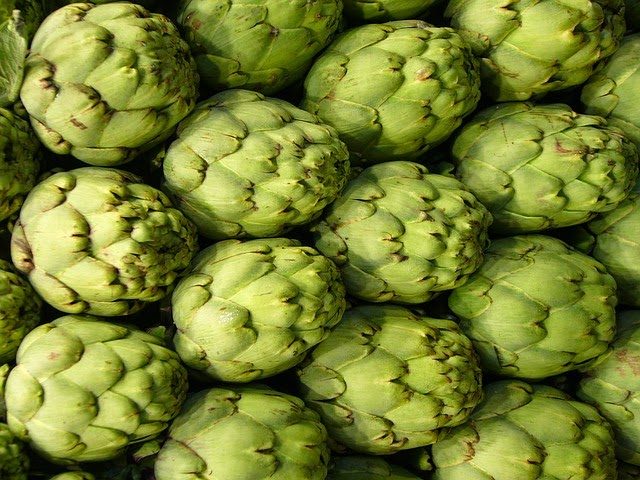 These parts of the plants are commonly consumed as food since don't contain much bile flow stimulating compounds.
