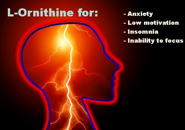 L-Ornithine may help anxiety, insomnia, inability to focus and psoriasis of course.