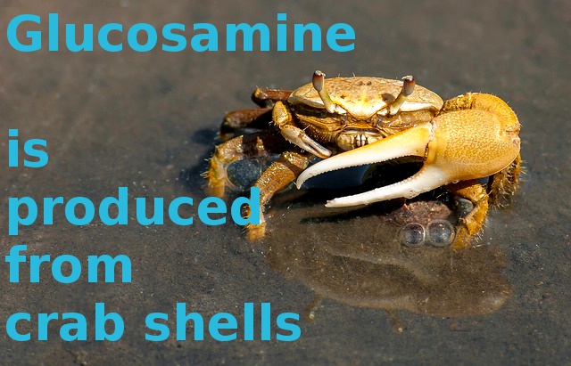 Glucosamine is usually produced from shells of crabs and lobsters.