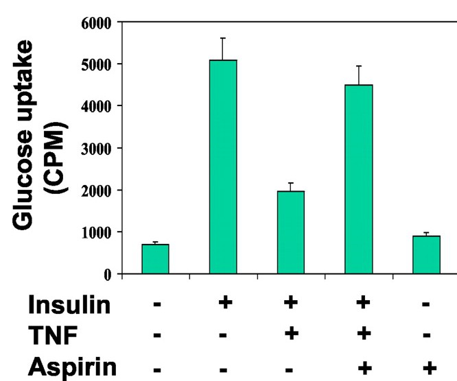 glucose_uptake_inflammation