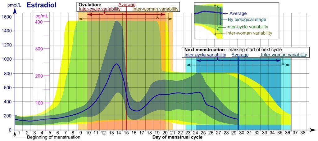 Image Source: Häggström, Mikael (2014). "Reference ranges for estradiol, progesterone, luteinizing hormone and follicle-stimulating hormone during the menstrual cycle". Wikiversity Journal of Medicine 1 (1).