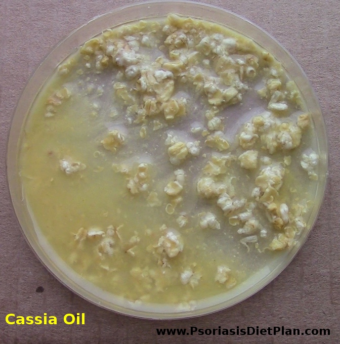 Orange juice, oats and one drop of cassia oil after 6 days at room temperature.