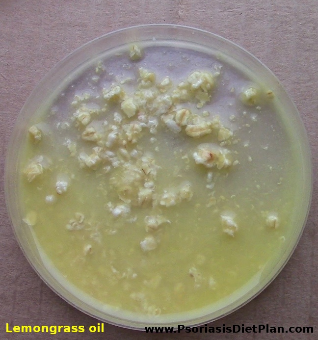 Orange juice, oats and one drop of lemongrass oil after 6 days at room temperature.