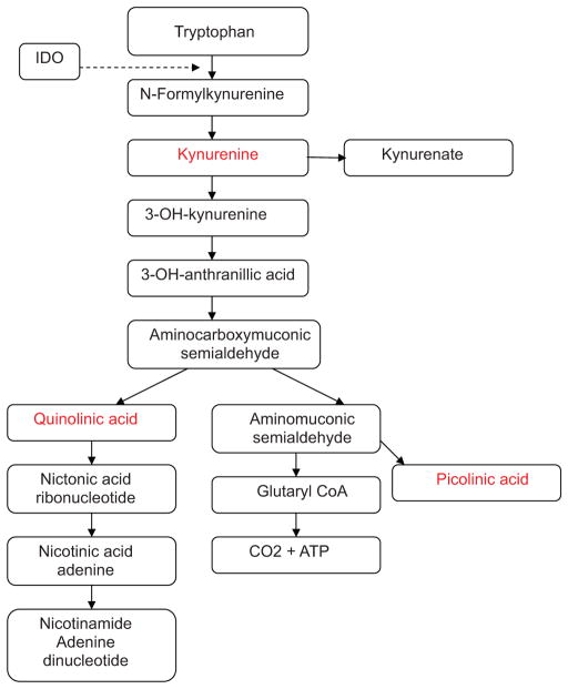 Tryptophan metabolites present in inflammation